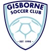 Home Club Logo