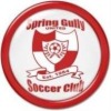 Away Club Logo